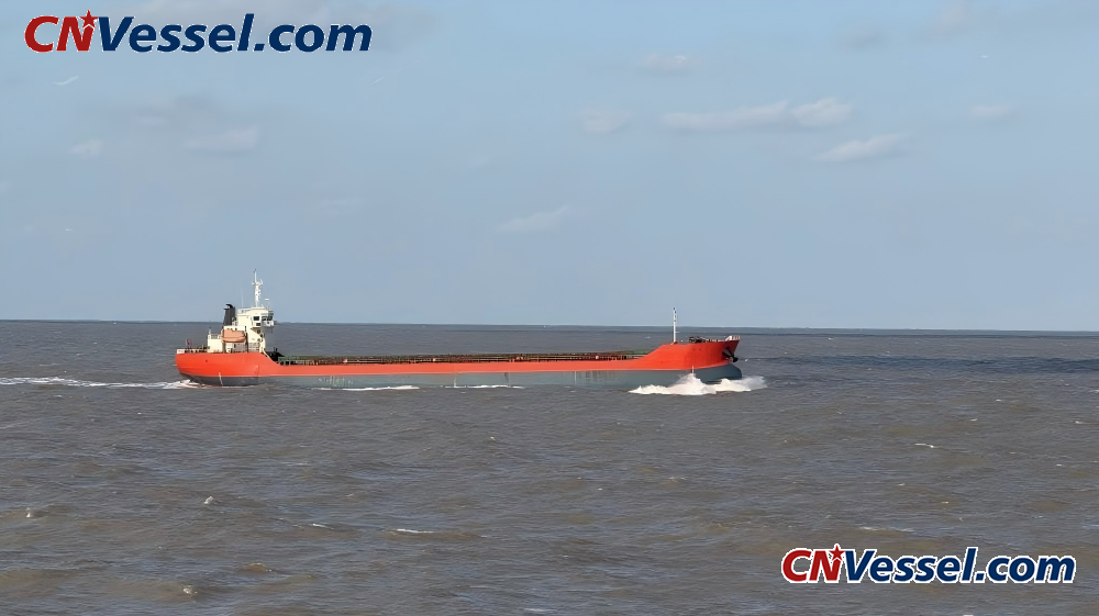 9,000 DWT Coastal Bulk Carrier For Sale