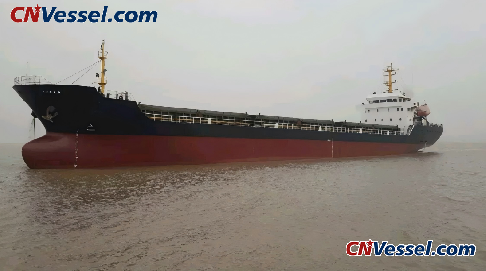 Over 6,000 DWT Bulk Carrier Available for Immediate Sale